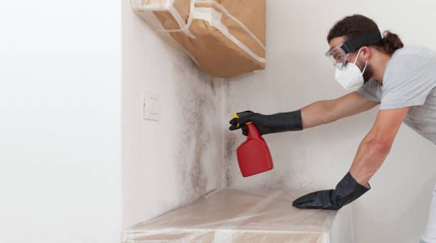 Professional Crawl Space Mold Remediation technician working in Eagle, MI