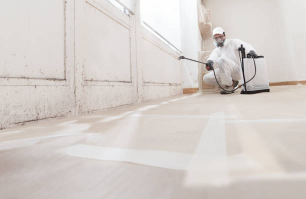 24/7 Emergency Crawl Space Mold Remediation experts in Eagle, MI